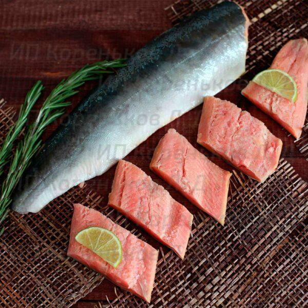 fish_sol2