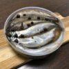 fish_sol6
