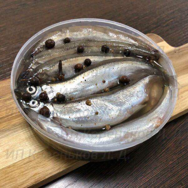 fish_sol6