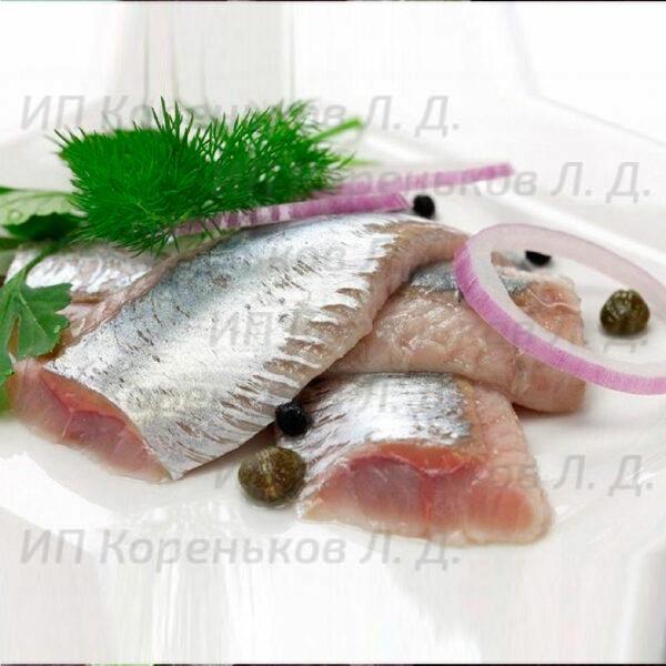 fish_sol9